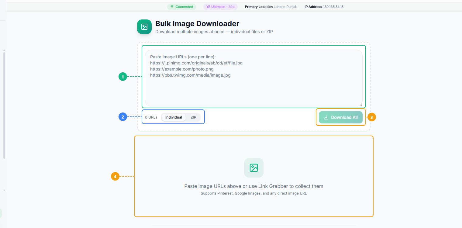 FaceBot Bulk Image Downloader interface showing URL textarea for multiple links, settings options, download button, and results queue