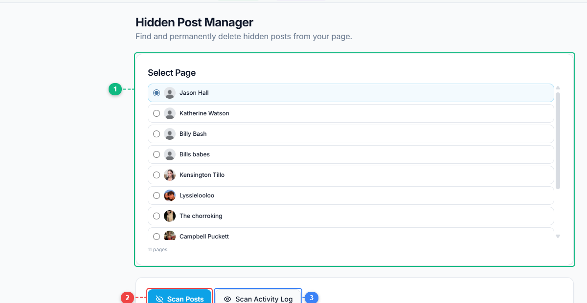 FaceBot Hidden Post Manager interface showing page selection, scan buttons, and URL input area